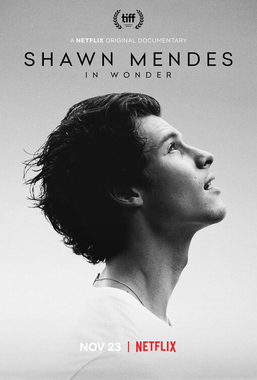 Shawn Mendes in Wonder Movie Poster