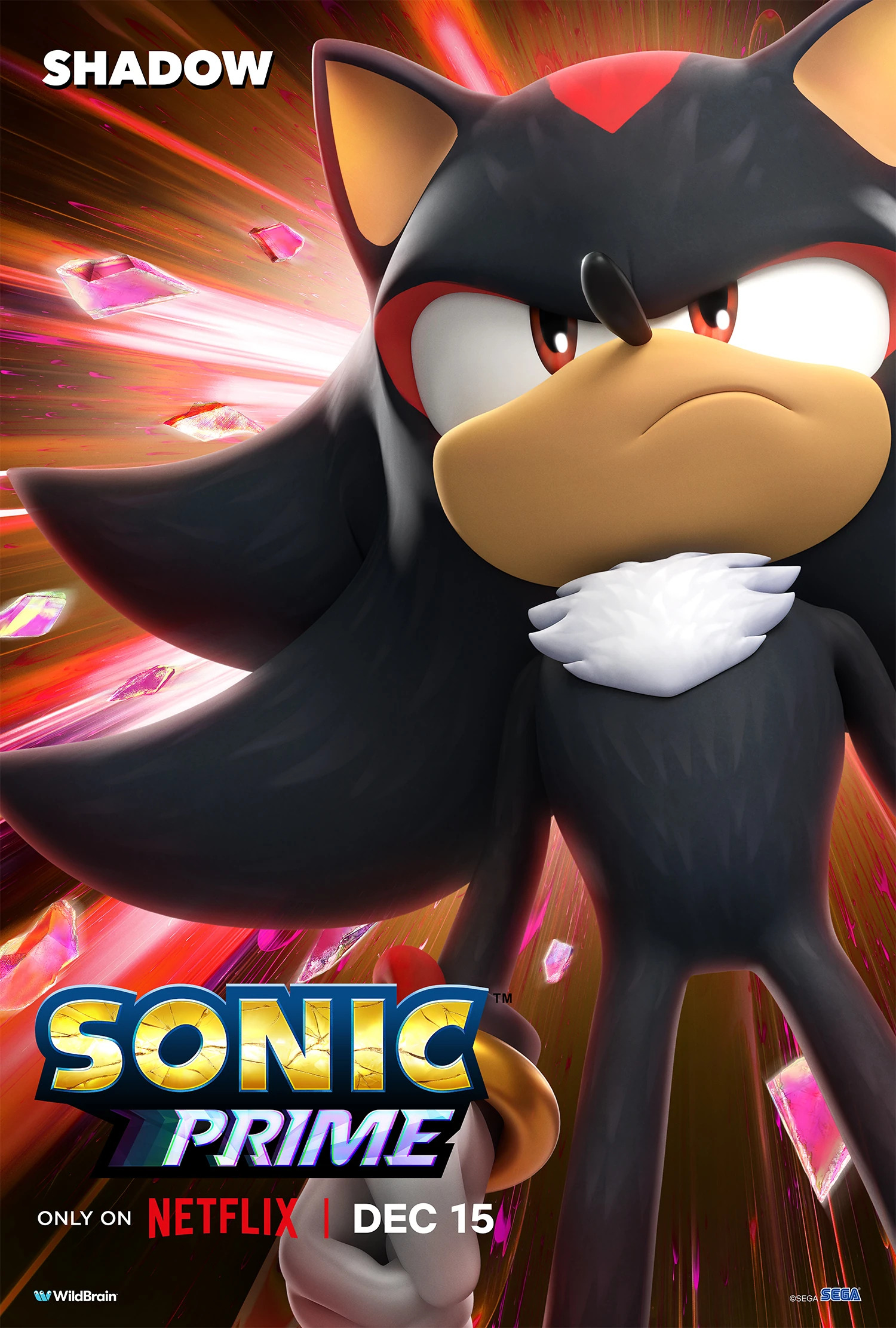 Mega Sized TV Poster Image for Sonic Prime (#8 of 9)