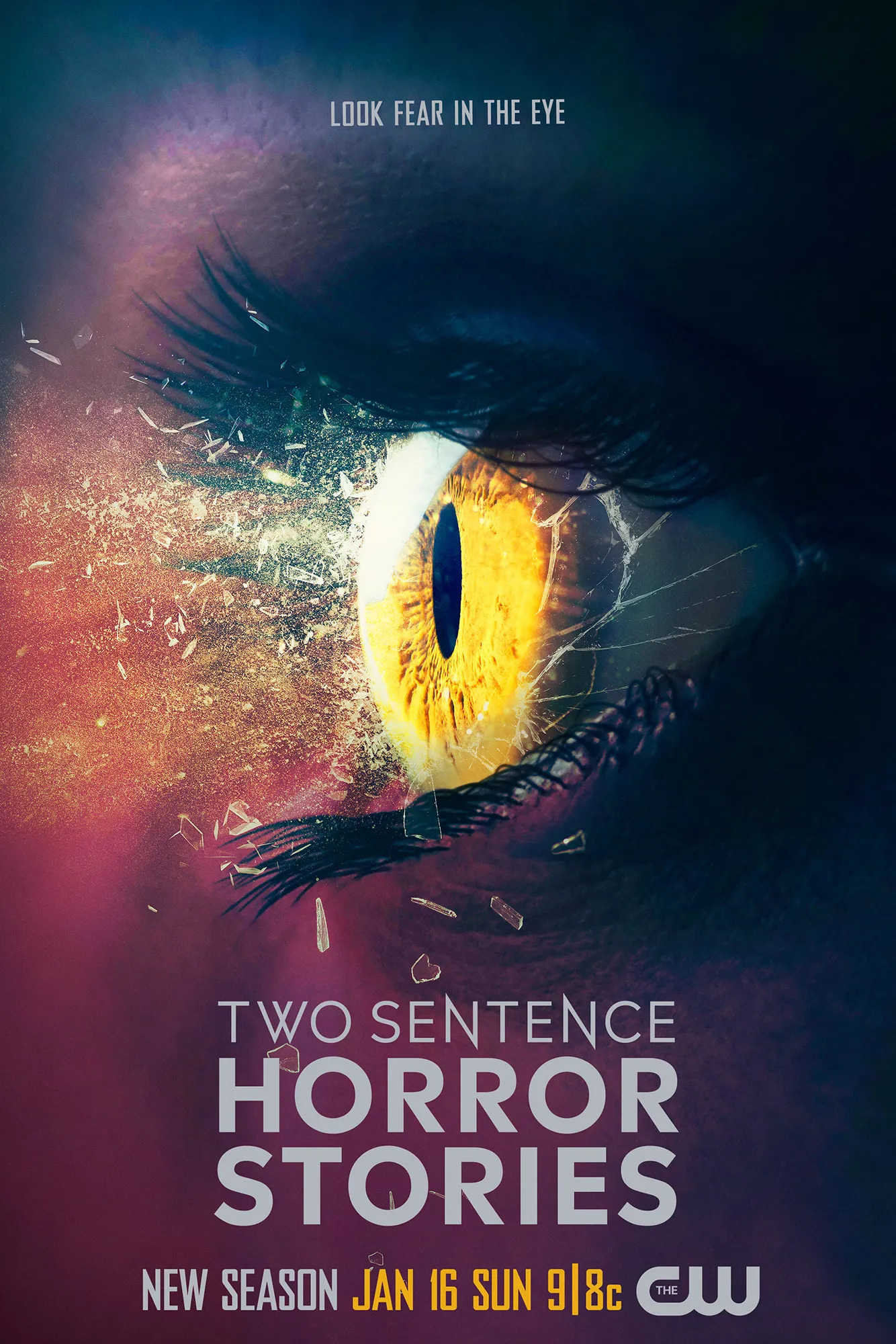 Mega Sized TV Poster Image for Two Sentence Horror Stories (#3 of 3)