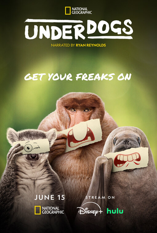 Underdogs Movie Poster