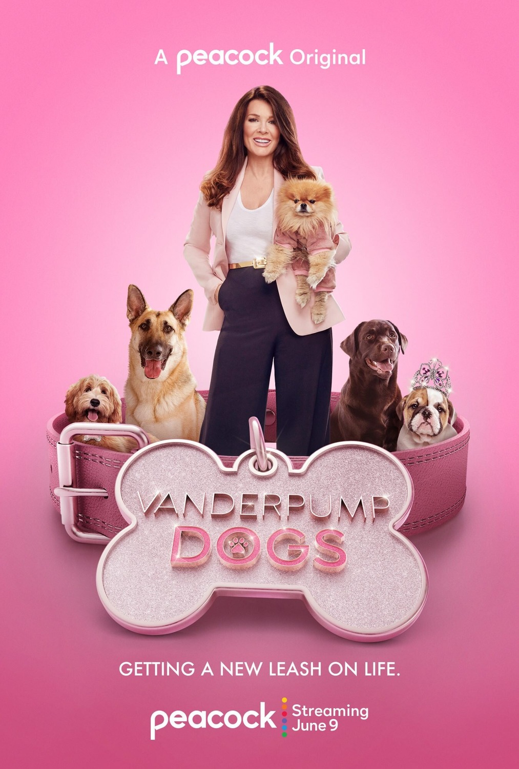 Extra Large TV Poster Image for Vanderpump Dogs (#2 of 2)