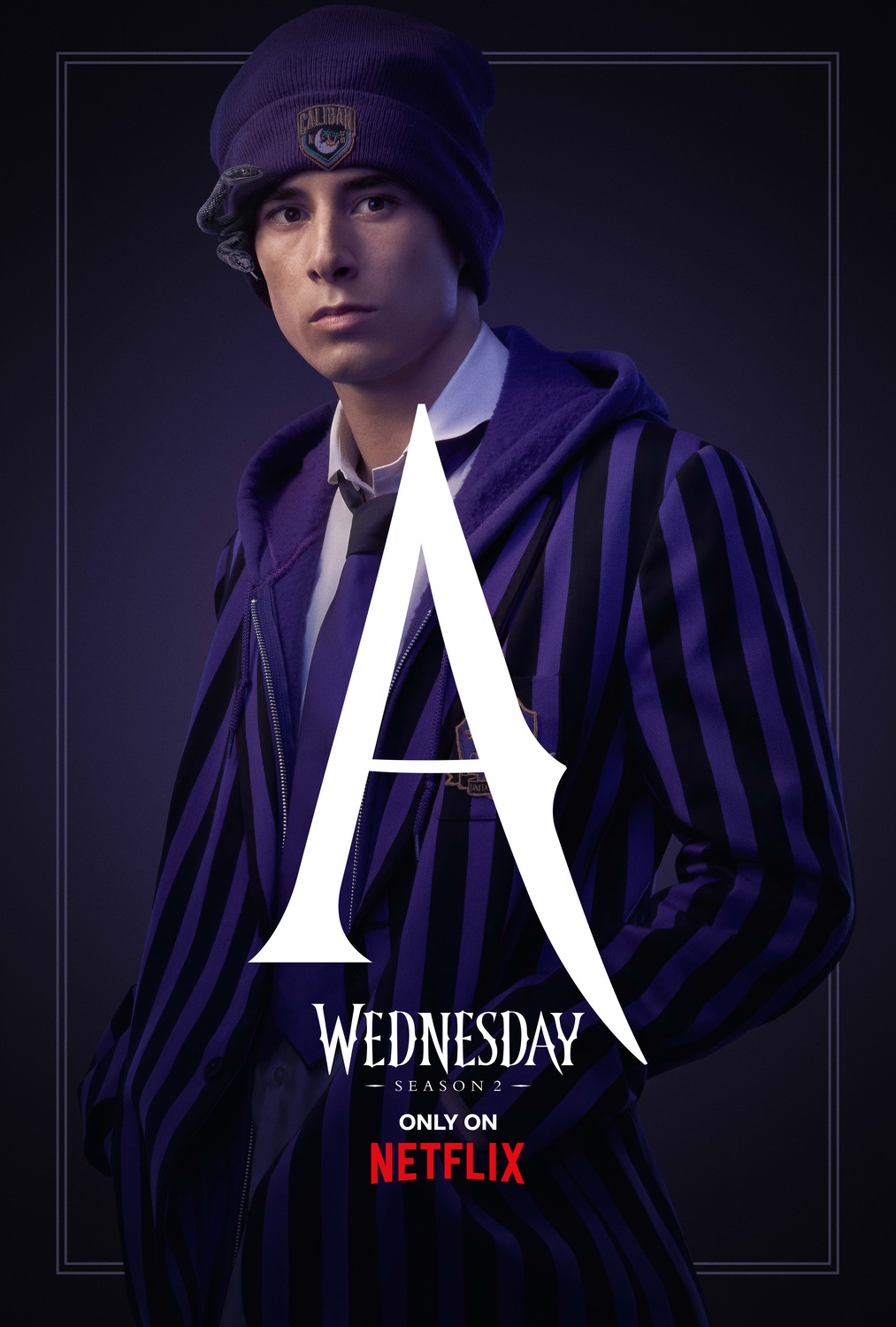 Extra Large TV Poster Image for Wednesday (#20 of 24)