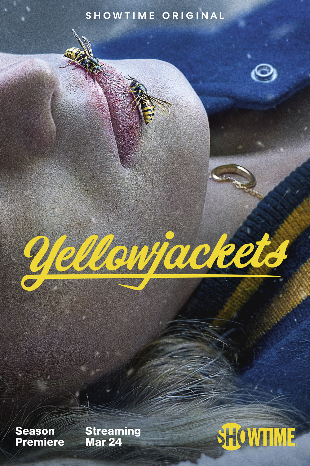 Extra Large TV Poster Image for Yellowjackets (#5 of 7)