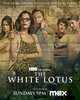 The White Lotus  Thumbnail